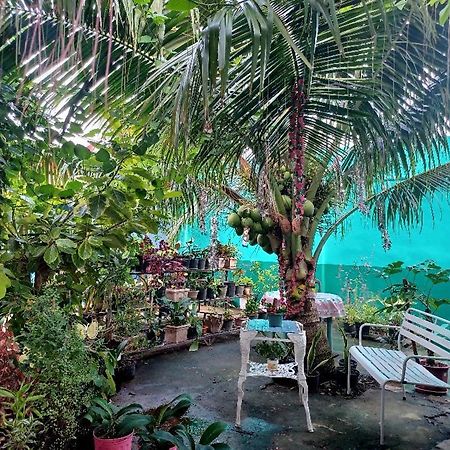 Pete'S Inn Roxas City Bagian luar foto